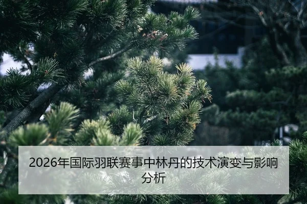 nian-guo-ji-yu-lian-sai-shi-zhong-lin-dan-de-ji-shu-yan-bian-yu-ying-xiang-fen-xi-2-862.jpg