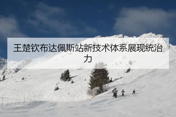 wang-chu-qin-bu-da-pei-si-zhan-xin-ji-shu-ti-xi-zhan-xian-tong-zhi-li-3-817.jpg